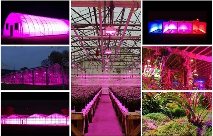 Our Patented linear grow light project in USA